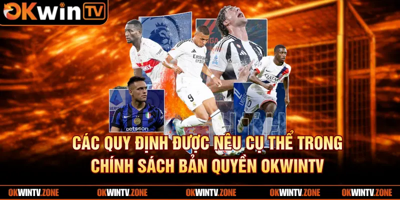 Các quy định được nêu cụ thể trong chính sách bản quyền OkwinTV